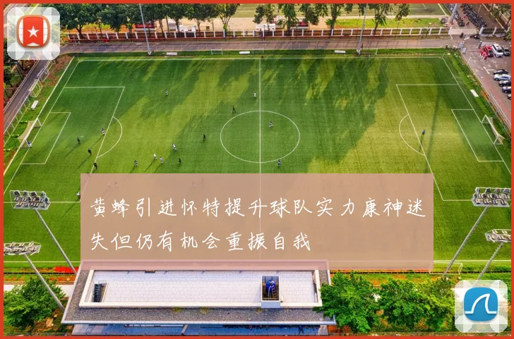 黄蜂引进怀特提升球队实力康神迷失但仍有机会重振自我