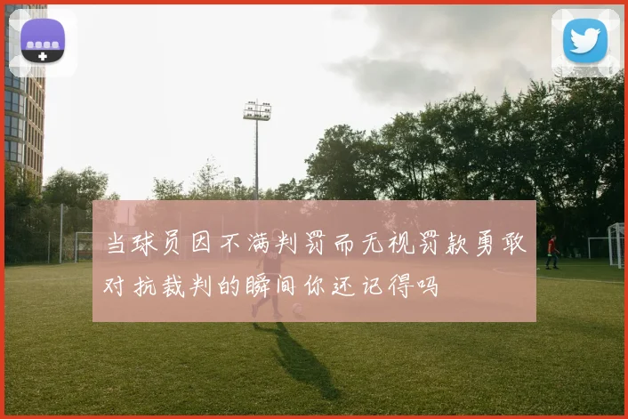 当球员因不满判罚而无视罚款勇敢对抗裁判的瞬间你还记得吗